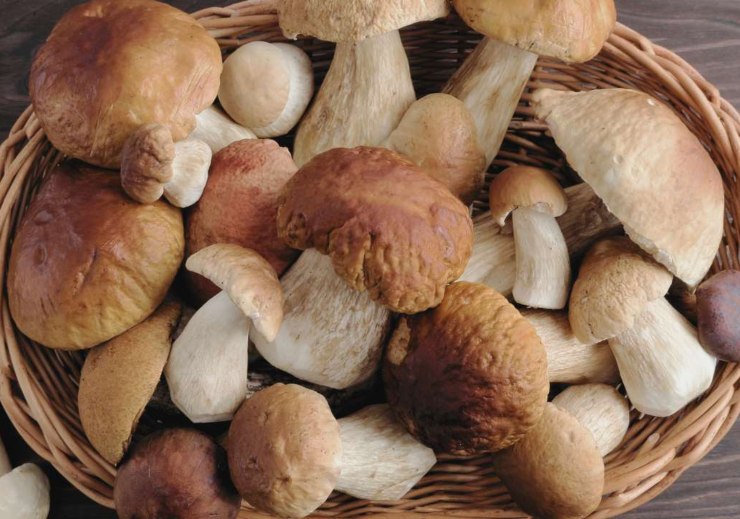 Funghi nel cestino di vimini