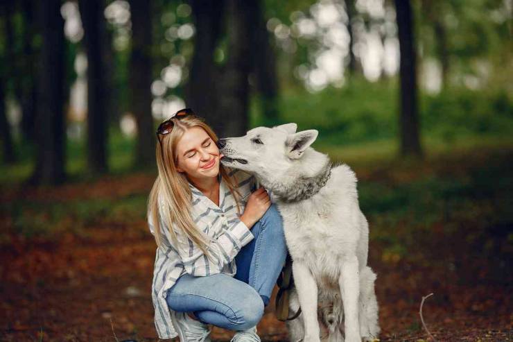 cane ed emozioni da scoprire, tutti i dettagli