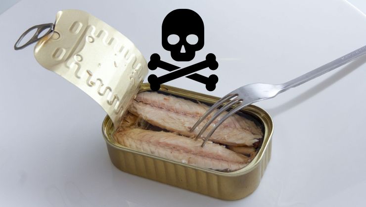 Scatoletta di filetti di pesce