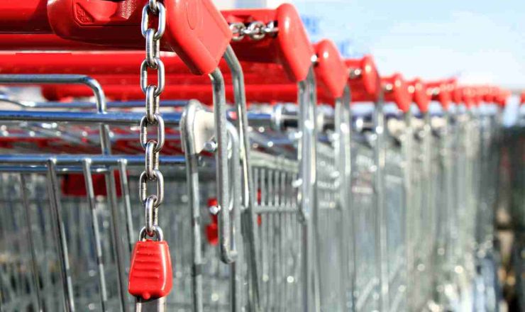 Carrello a pagamento (web) - Valsusanews.it