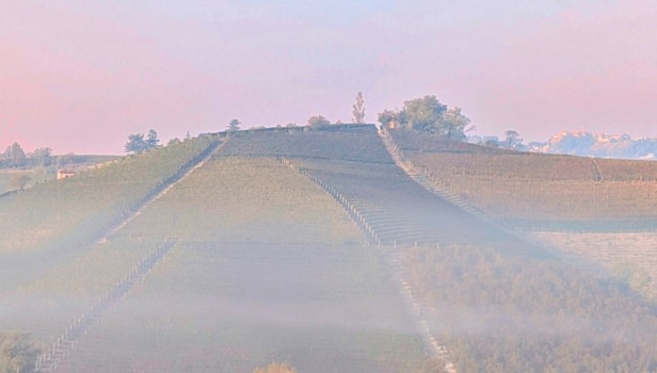 Uno scorcio di Langhe, in Piemonte
