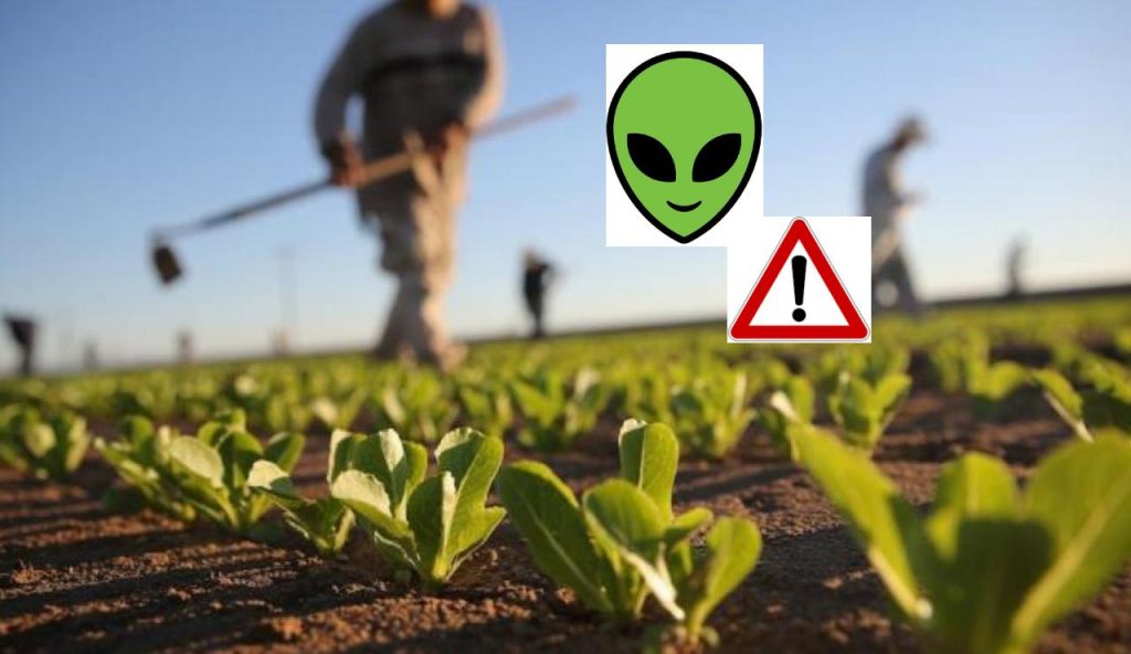 Allarme alieni agricoltura (web) - Valsusanews.it