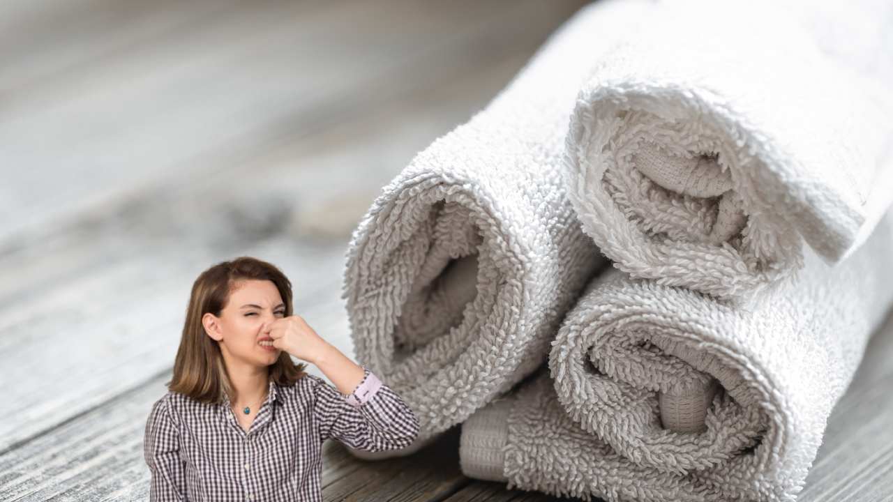 Asciugamani che puzzano