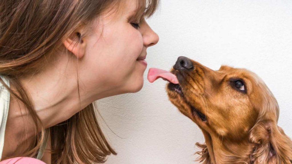 Cane (web) - Valsusanews.it