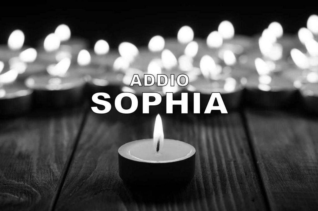 Addio Sophia, il mondo del cinema piange: lutto nazionale per una delle donne più amate di sempre | Si chiude un’era con lei