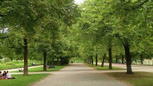 Concorso città pulita