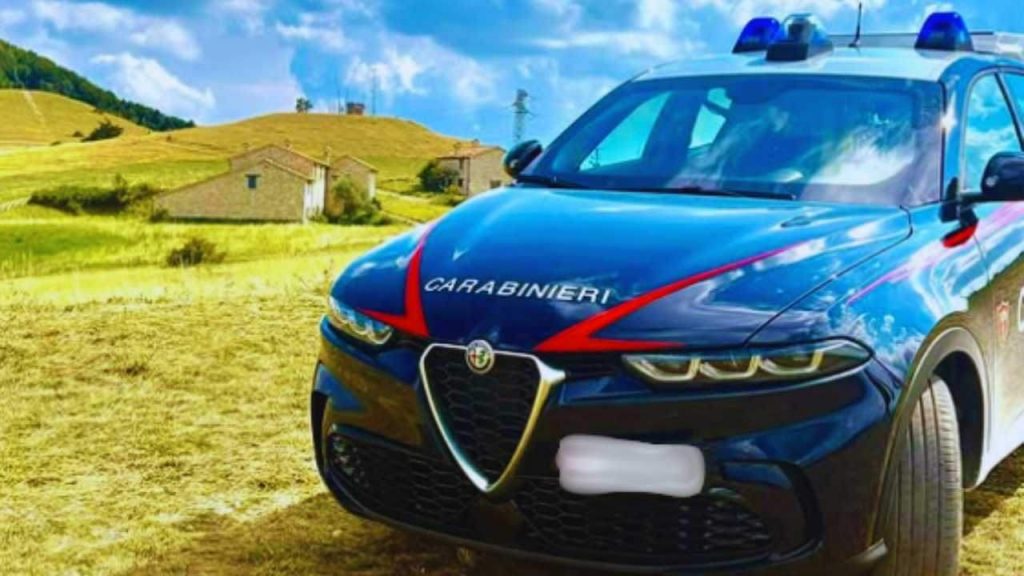 Giaveno, due cani trovati morti nei boschi: chiusi in sacchi dell’immondizia